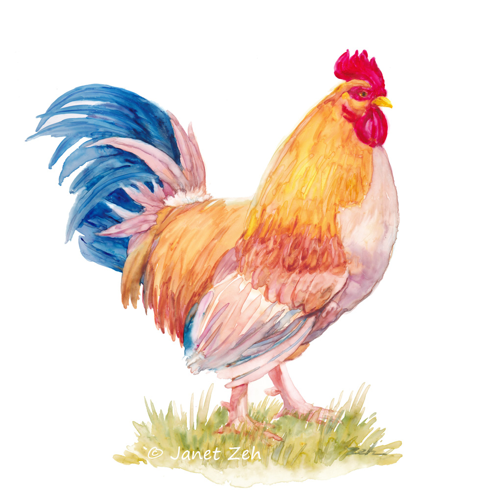 1000x1000 Zeh Original Art Blog Watercolor And Oil Paintings Rooster - Watercolor Rooster Paintings
