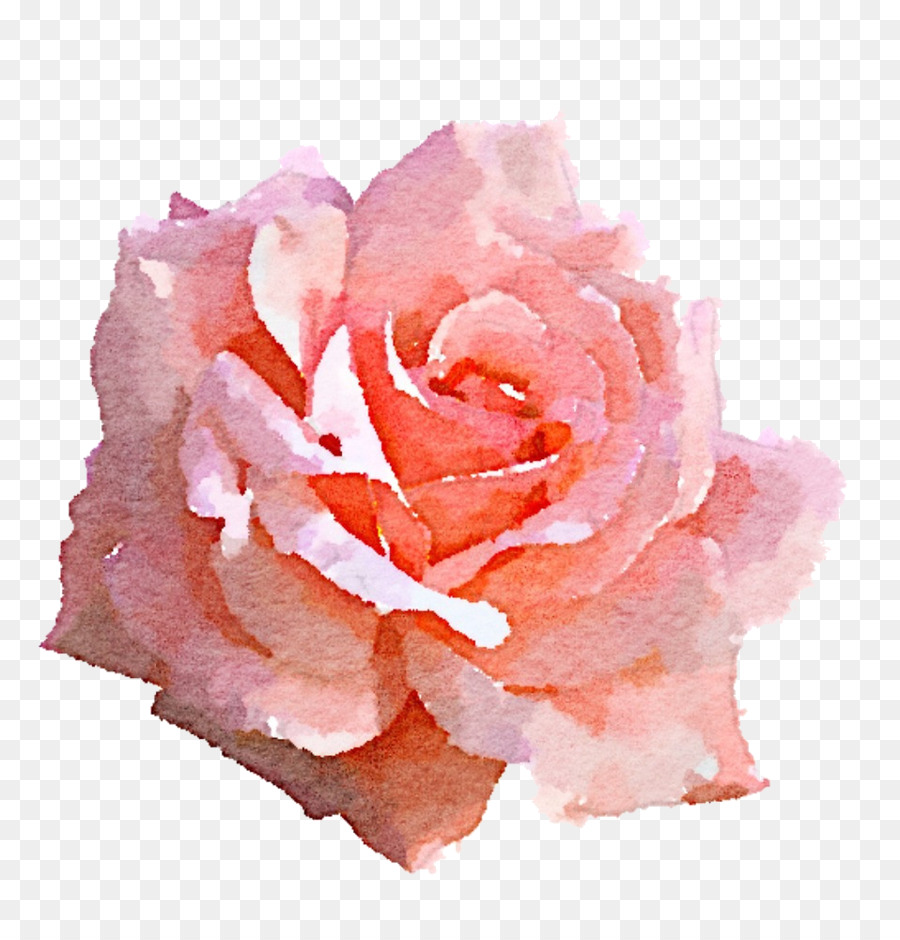 900x940 Light Rose Pink Clip Art - Watercolor Rose