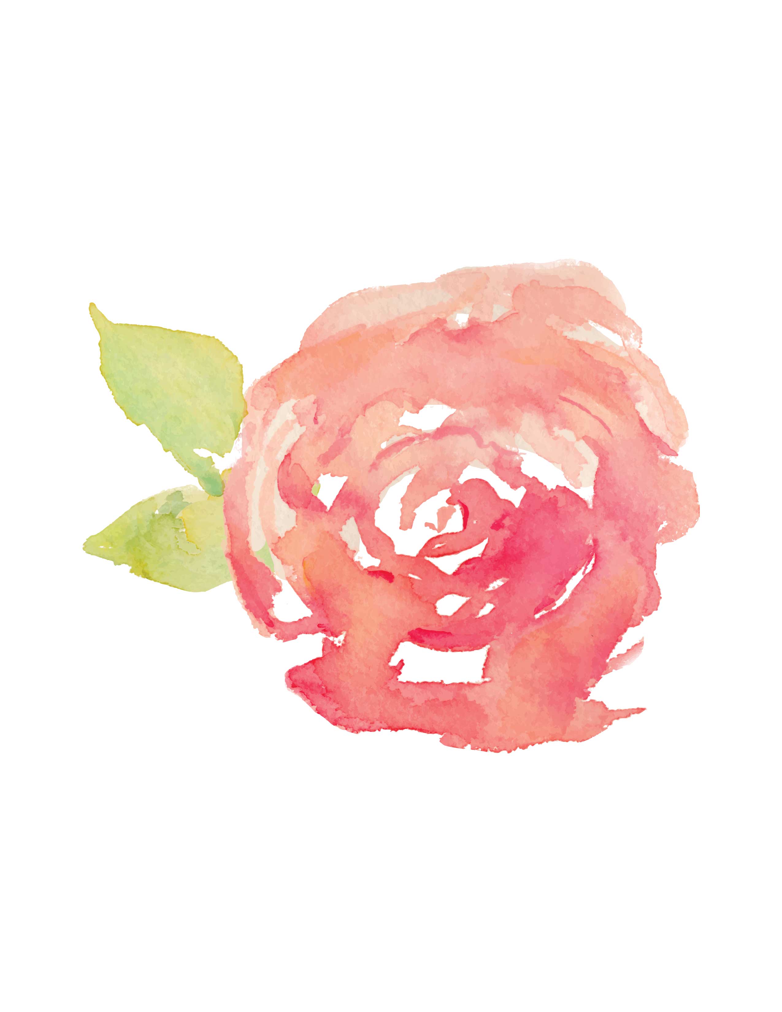 Download Watercolor Rose at PaintingValley.com | Explore collection of Watercolor Rose