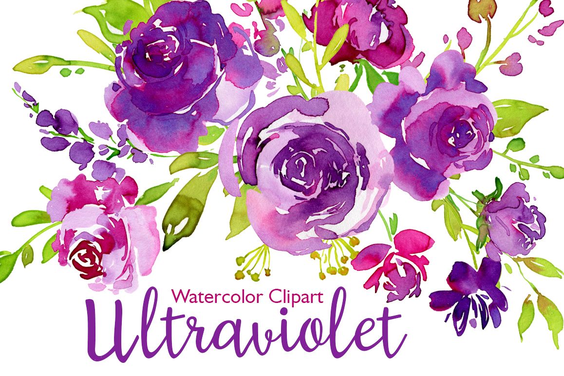 1158x772 Ultraviolet Watercolor Roses Flowers - Watercolor Rose