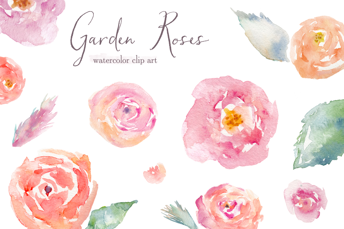 1160x772 Watercolor Rose Clip Art - Watercolor Rose