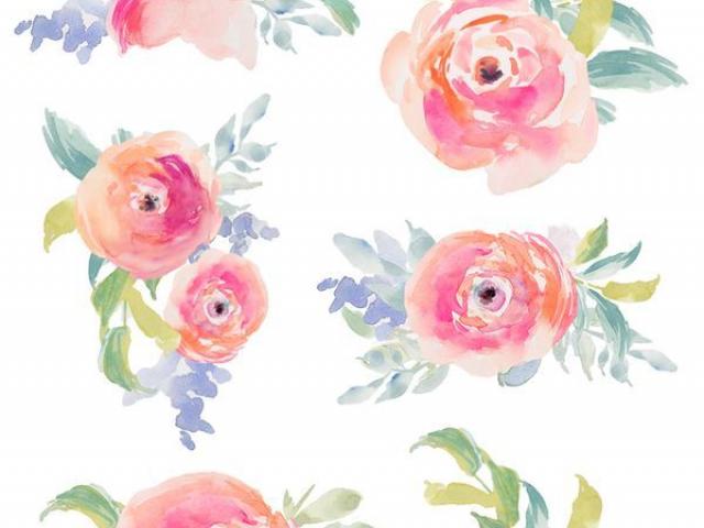 640x480 Rose Bush Clipart - Watercolor Rose Bush