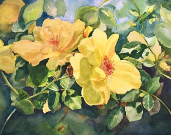 340x270 Rose Bush Painting Etsy - Watercolor Rose Bush