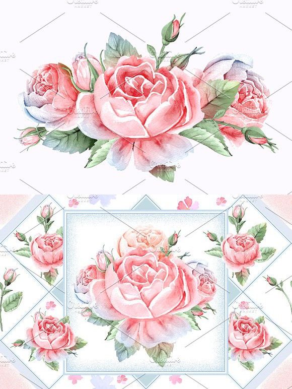 580x772 Rose Flower Watercolor Illustration. Watercolor Flowers Flower - Watercolor Rose Bush