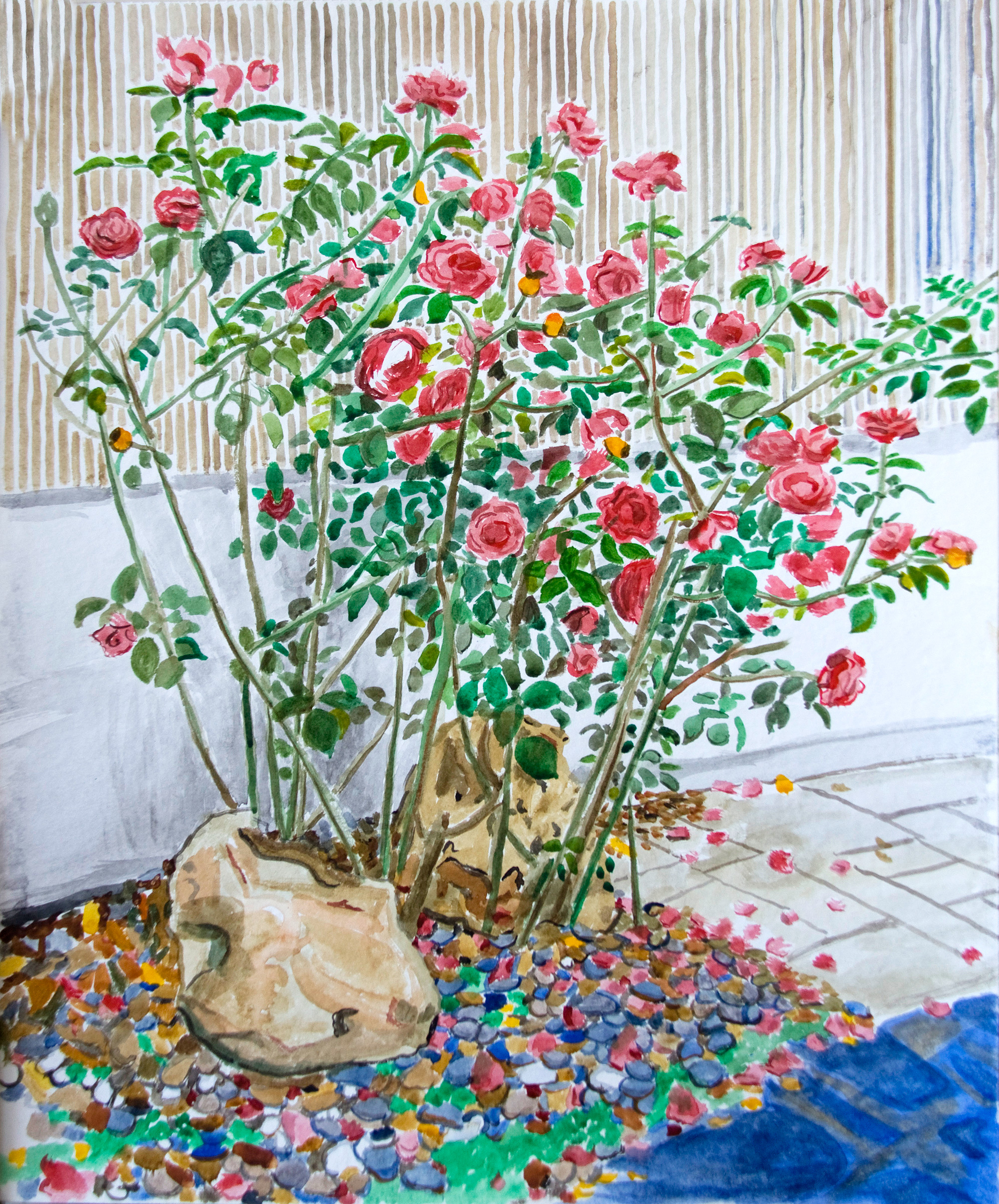 2000x2410 Watercolor Rosebush - Watercolor Rose Bush