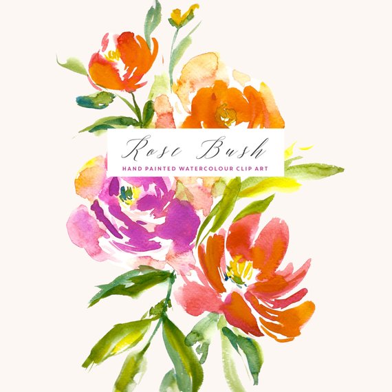 570x570 Watercolour Flower Clipart Rose Bush Etsy - Watercolor Rose Bush