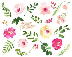 236x188 Best Watercolor Flower Clip Art Images In 2018 - Watercolor Rose Clipart