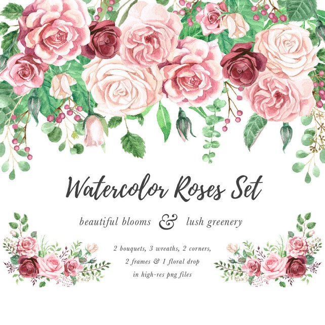 642x643 Watercolor Rose Clipart Marsala Rose Watercolor Floral Etsy - Watercolor Rose Clipart