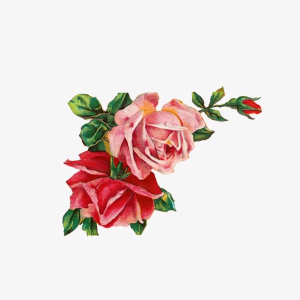 600x600 Watercolor Rose Flower, Rose Clipart, Flower Clipart, Pink Png And - Watercolor Rose Clipart