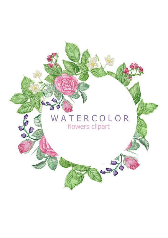 570x806 Watercolor Flowers Clipart Roses Clipart Bouquets Flowers - Watercolor Rose Clipart