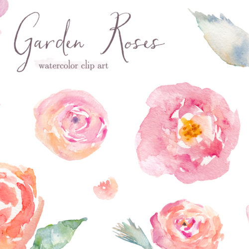500x500 Watercolor Rose Clipart - Watercolor Rose Clipart
