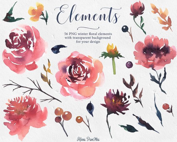 570x457 Watercolor Winter Flowers Flowers Clipart Winter Floral Etsy - Watercolor Rose Clipart