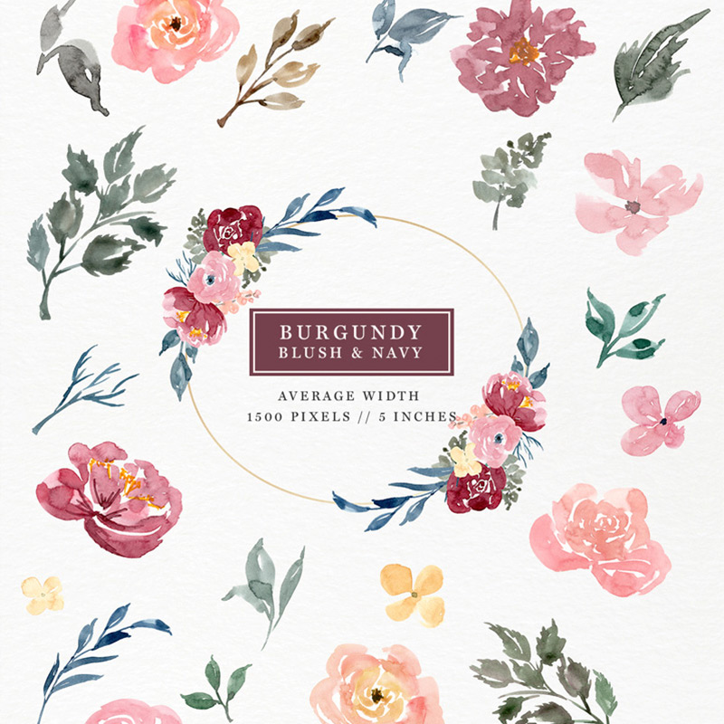800x800 Burgundy Blush Navy Watercolor Flowers Clipart Set - Watercolor Rose Clipart