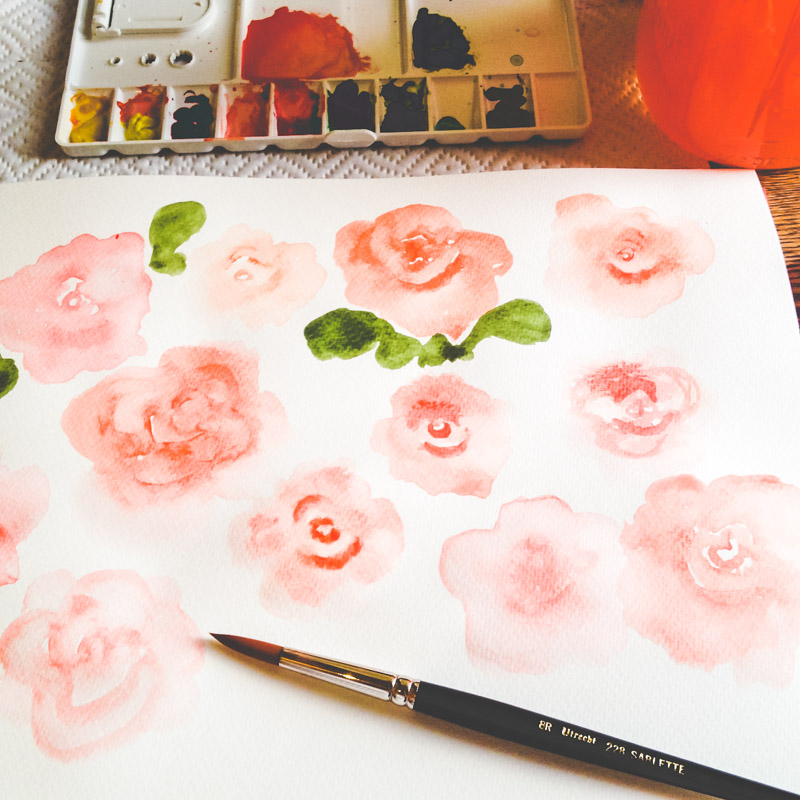 800x800 Watercolor Rose Experiments - Watercolor Rose Tutorial