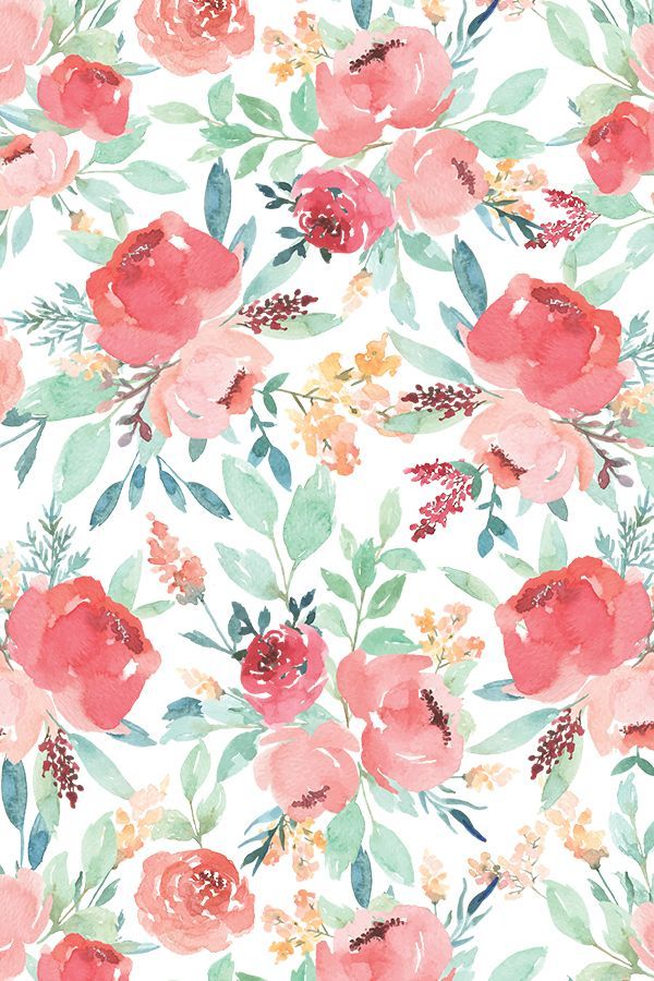600x900 Small Watercolor Floral On White By Taylor Bates - Watercolor Rose Wallpaper