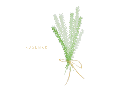 400x300 Rosemary Bundle By Anna E Zimmerman - Watercolor Rosemary