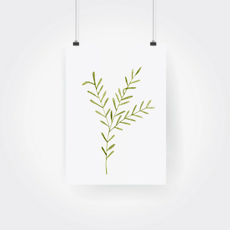 768x768 Watercolor Herb Rosemary Customs By Cass - Watercolor Rosemary