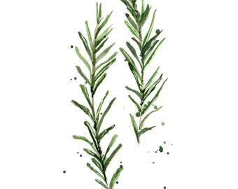 340x270 Watercolor Herbs Etsy - Watercolor Rosemary