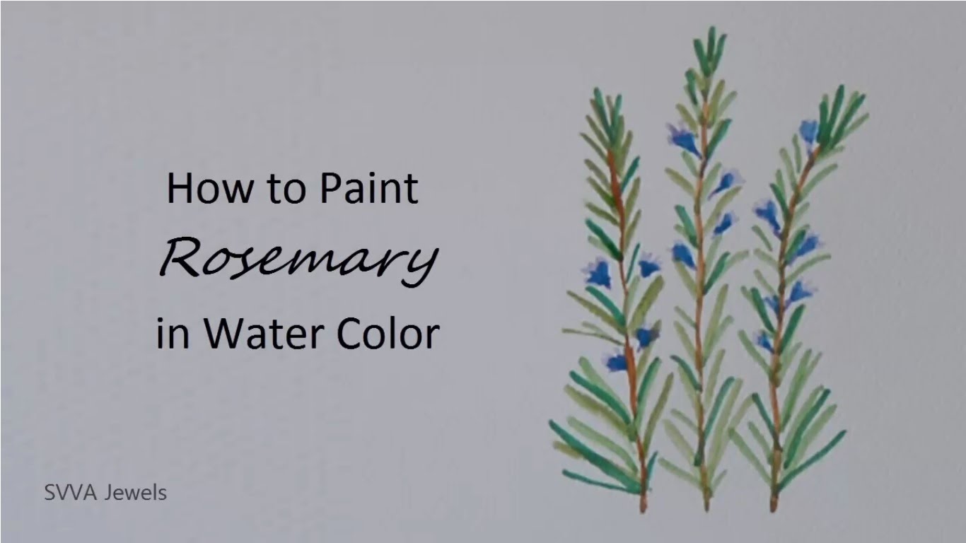 1366x768 How To Paint Rosemary In Watercolor - Watercolor Rosemary