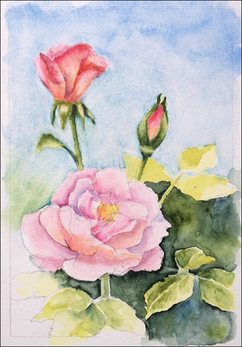 500x715 How To Paint Realistic Watercolor Roses - Watercolor Roses Images
