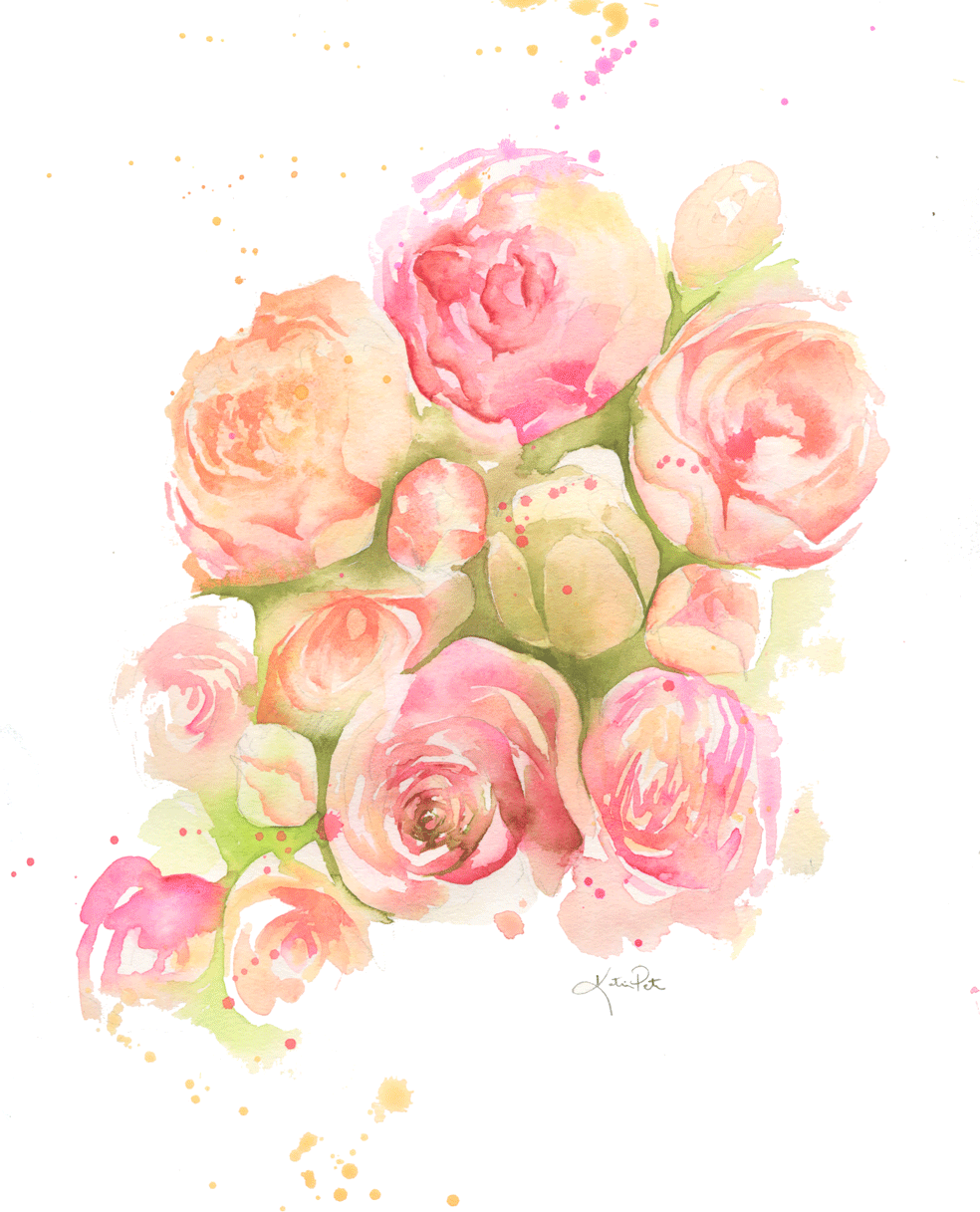 984x1217 Katrina Pete - Watercolor Roses Images