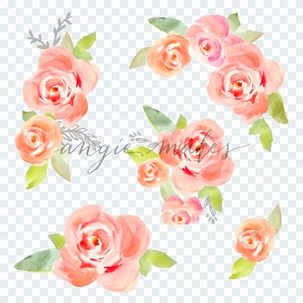 600x600 Painted Watercolor Roses Clip Art - Watercolor Roses Images