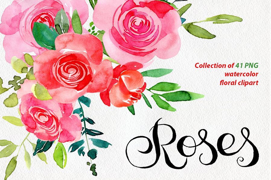 898x599 Red Amp Pink Watercolor Roses Png - Watercolor Roses Images