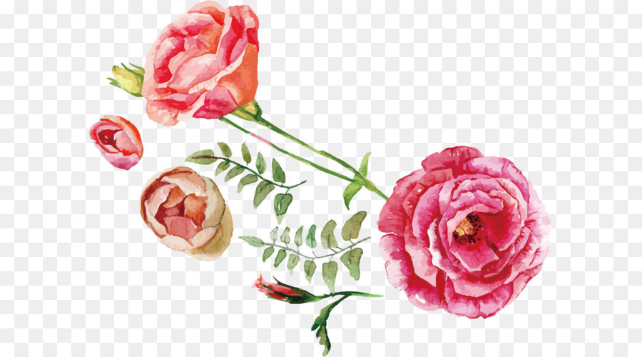 900x500 Rose Flower Bouquet Illustration - Watercolor Roses Images