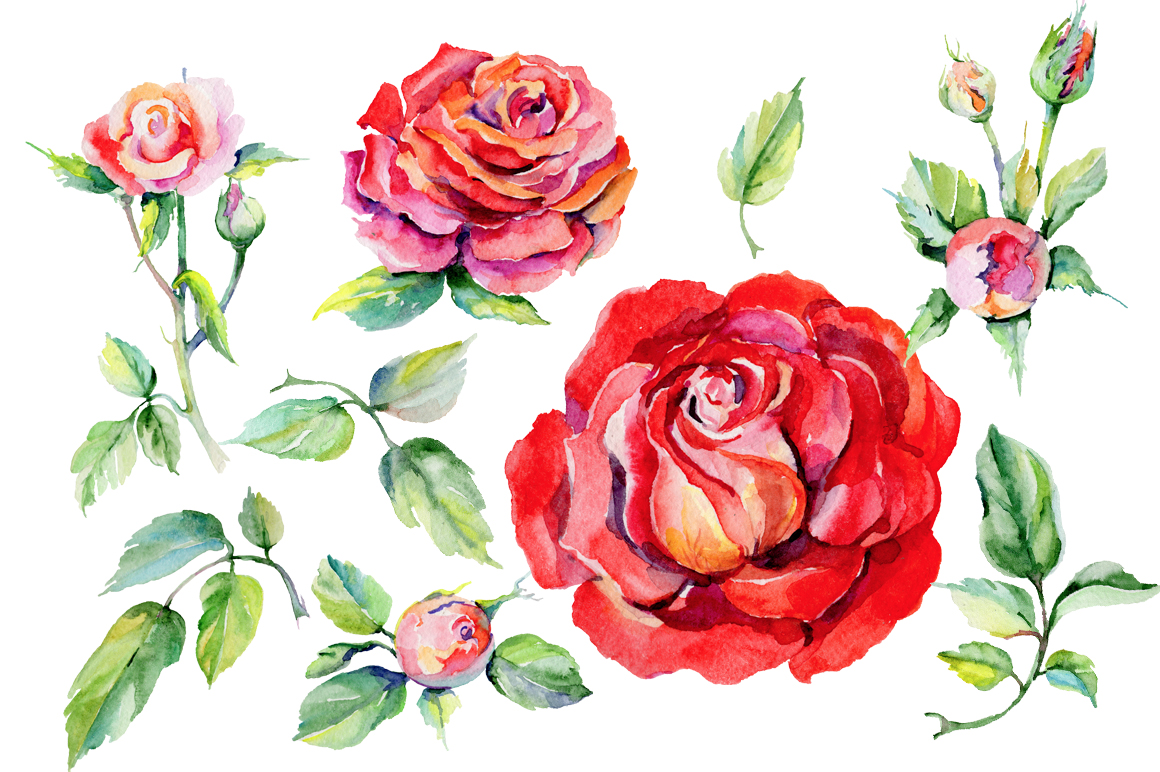 1160x772 Roses Png Watercolor Flower Set - Watercolor Roses Images