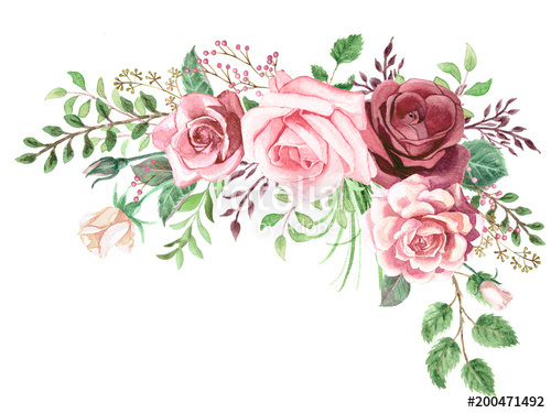 Watercolor Roses Images at PaintingValley.com | Explore collection of ...