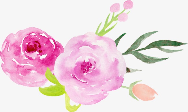 650x388 Hand Painted Watercolor Roses Decorative Elements, Illustration - Watercolor Roses Images