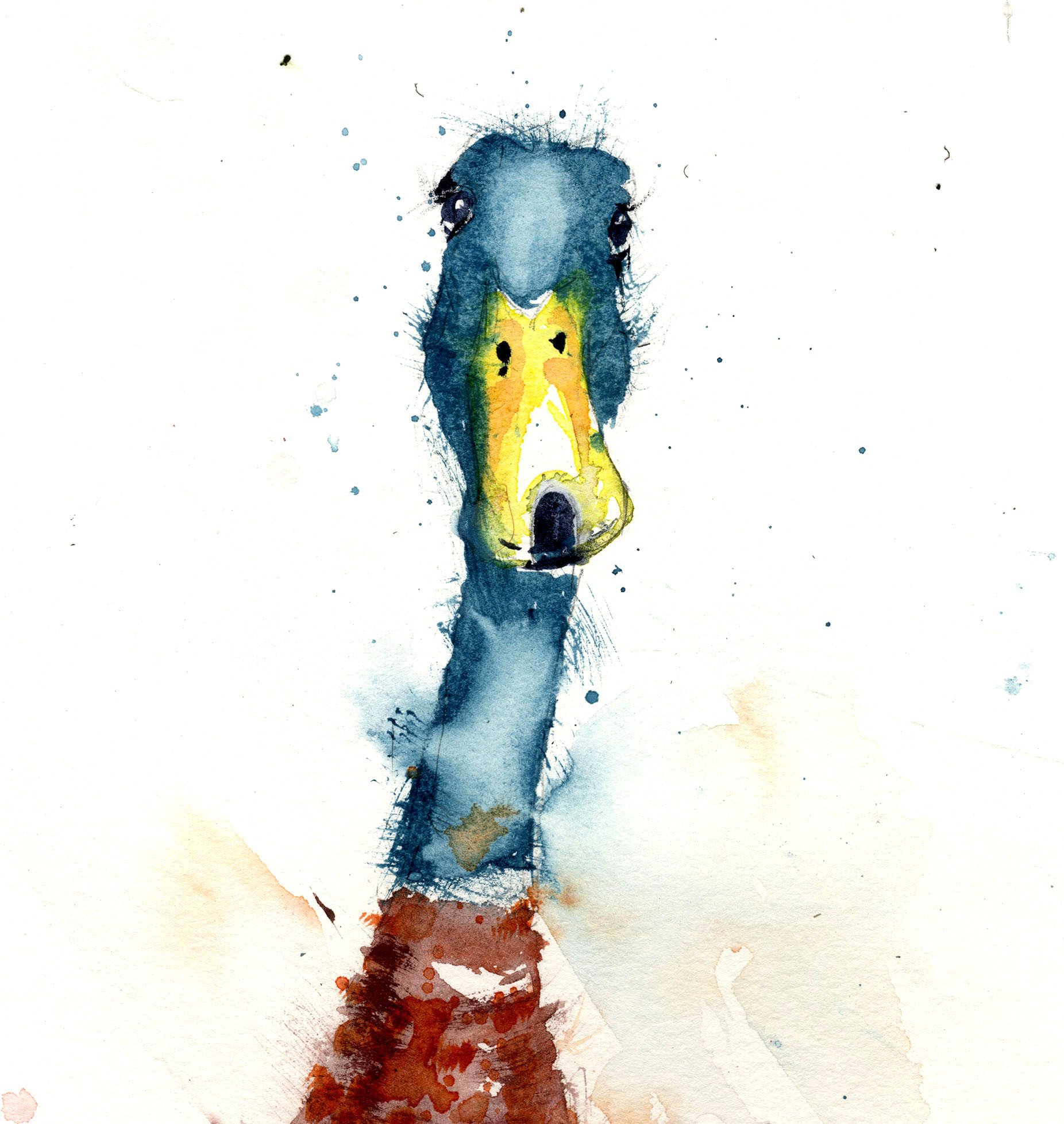 1852x1957 Limited Edition Print Indian Runner Duck - Watercolor Runner