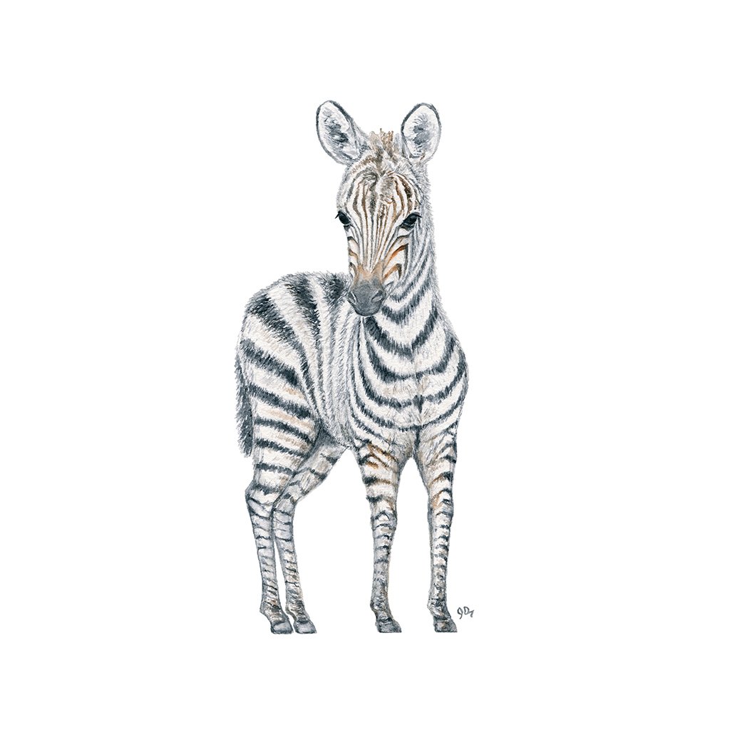 1024x1024 Safari Baby Animal Prints Set Of 3 - Watercolor Safari Animals