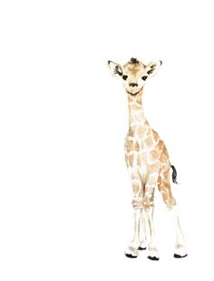 236x309 Baby Animals Nursery Set Of 8 Prints, Watercolor Painting, Boy - Watercolor Safari Animals