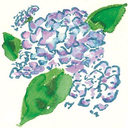 425x425 Akashiya Sai Watercolor Brush Pen - Watercolor Sai