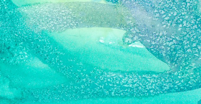 648x336 Pauline Persing Art, Writing,amp Natural History Using Salt On - Watercolor Salt Texture