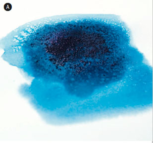 309x288 Using Salt To Make Texture Quarto Knows Blog - Watercolor Salt Texture