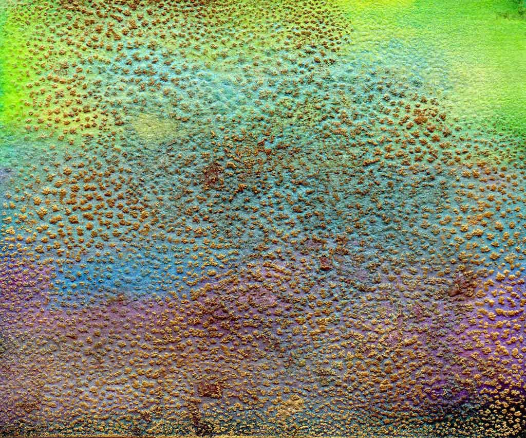 1024x852 Watercolor Salt Effect Fun Technique! Graphics - Watercolor Salt Texture