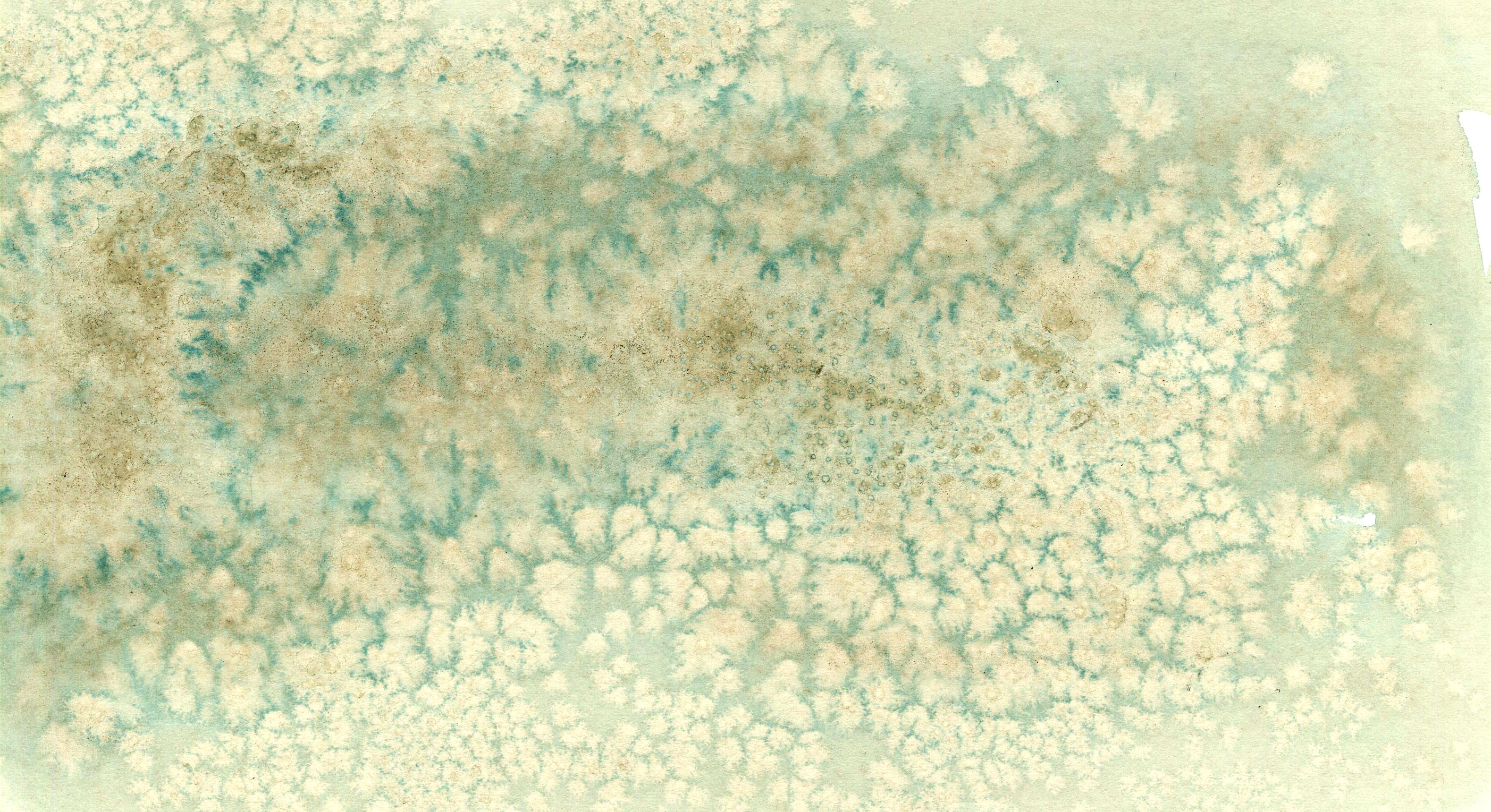 2805x1529 Business Design - Watercolor Salt Texture