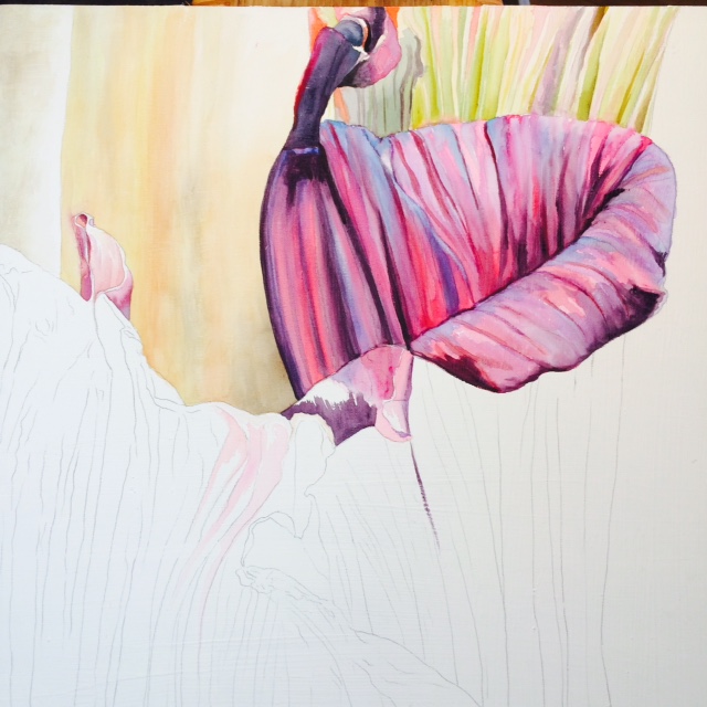 640x640 Work In Progress Samples Redstreake - Watercolor Samples