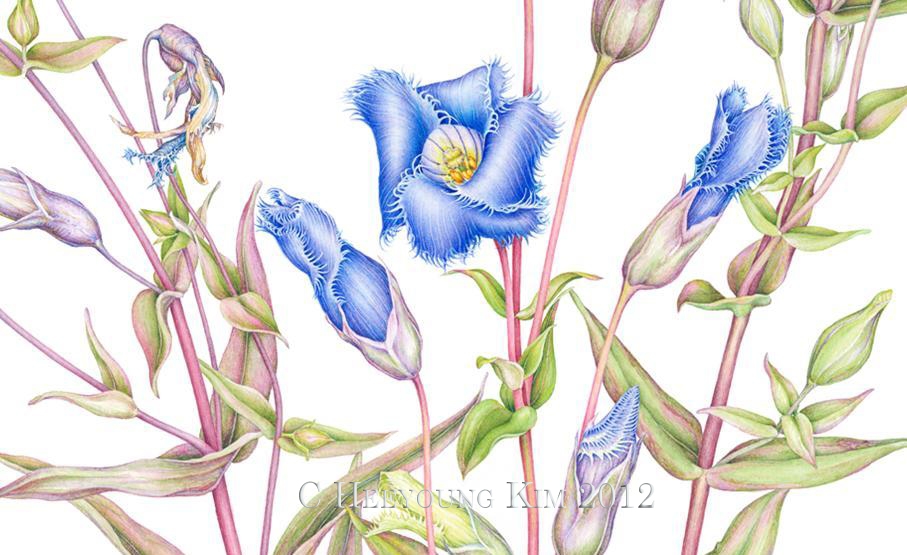 907x555 Heeyoung Kim, Science Of Watercolor Brushstrokes, October 4, 2012 - Watercolor Science