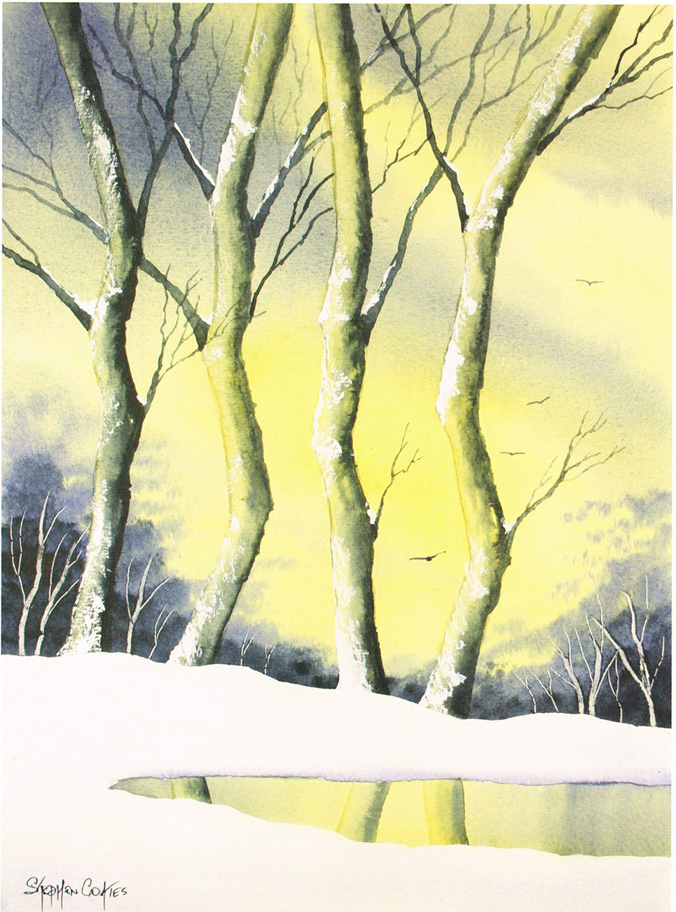 965x1302 The Science Of Watercolour - Watercolor Science