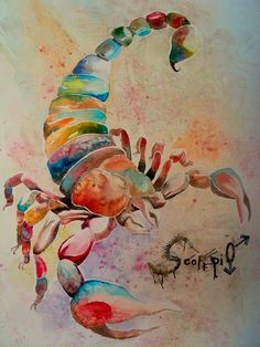 236x314 Watercolor Scorpion Tattoo - Watercolor Scorpion Tattoo
