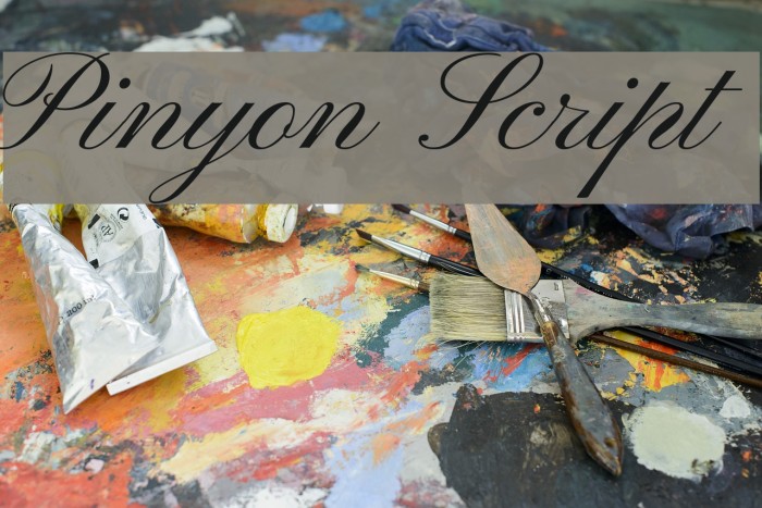 700x467 Pinyon Script Font - Watercolor Script Font