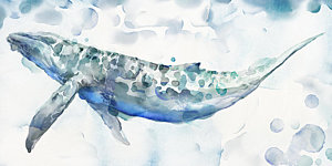 300x150 Sea Life Watercolor Paintings Fine Art America - Watercolor Sea