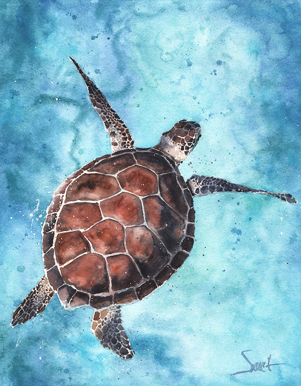 600x771 Sea Turtle Watercolor Print Watercolor Animal Paintings - Watercolor Sea
