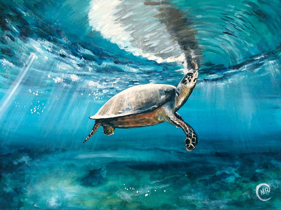 968x723 Watercolor Sea Turtle Painting Video Short Version - Watercolor Sea