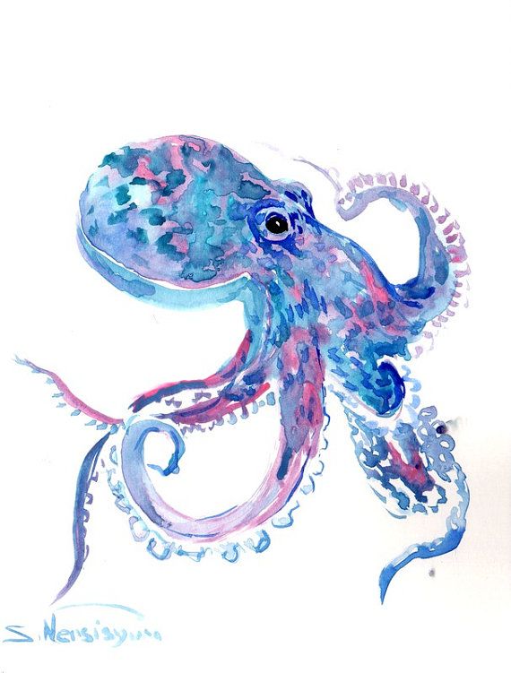 570x751 Blue Pink Octopus, Original Watercolor Painting, 10 X 8 In, Sky - Watercolor Sea Animals