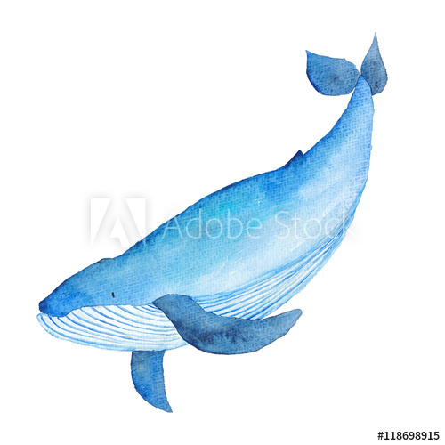 500x500 Blue Whale Watercolor Hand Painted Illustration Sea Animals Blue - Watercolor Sea Animals