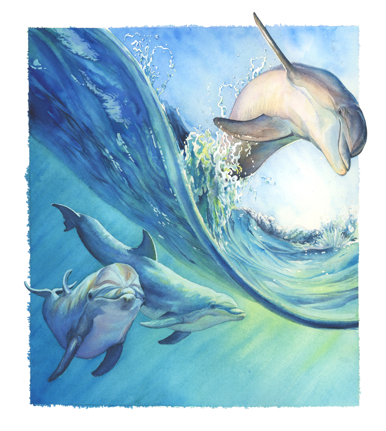 Watercolor Sea Animals at PaintingValley.com | Explore collection of